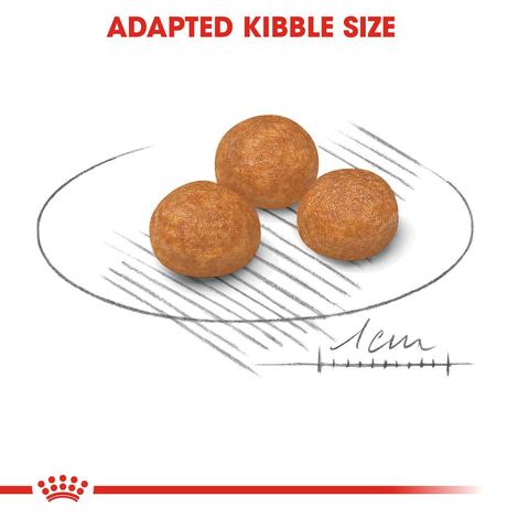 ROYAL CANIN X-SMALL Adult