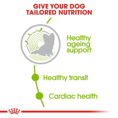 ROYAL CANIN X-SMALL Ageing 12+