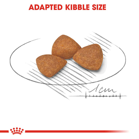 ROYAL CANIN X-SMALL Ageing 12+