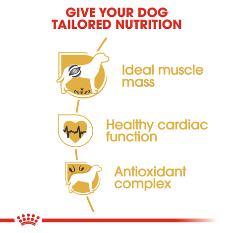 ROYAL CANIN Boxer Adult granule pro psy