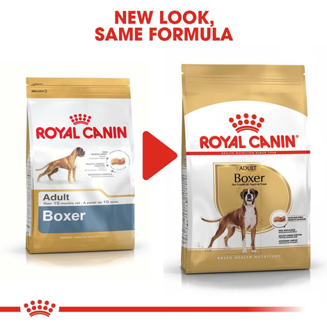 ROYAL CANIN Boxer Adult granule pro psy