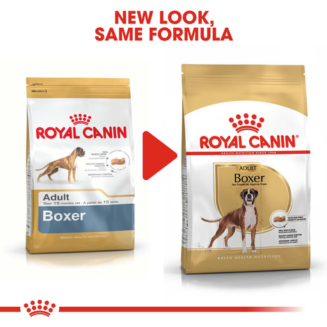 ROYAL CANIN Boxer Adult granule pro psy