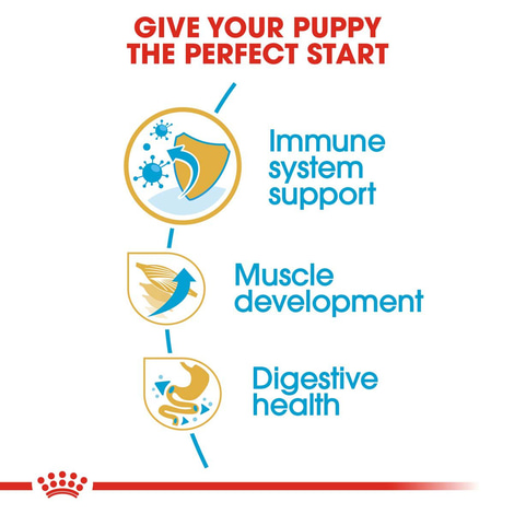 ROYAL CANIN Boxer Puppy