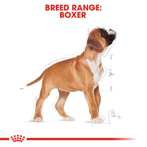 ROYAL CANIN Boxer Puppy