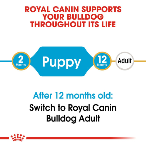 ROYAL CANIN Bulldog Puppy granule pro štěňata