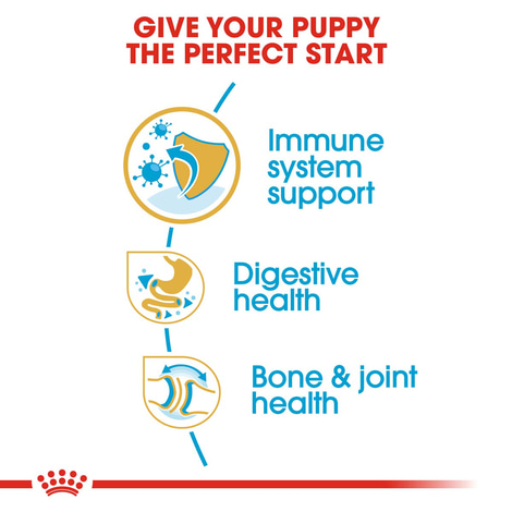 ROYAL CANIN Bulldog Puppy granule pro štěňata