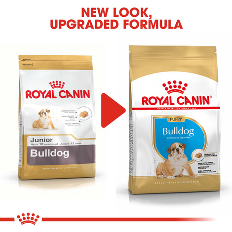 ROYAL CANIN Bulldog Puppy granule pro štěňata