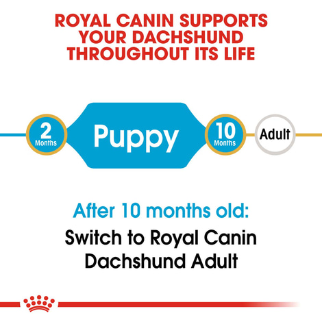 Royal Canin Dachshund Junior, 1,5 kg