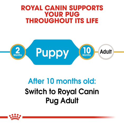 Royal Canin Pug Junior