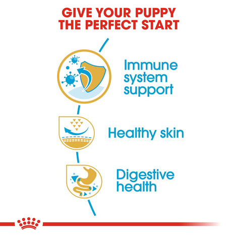 Royal Canin Pug Junior