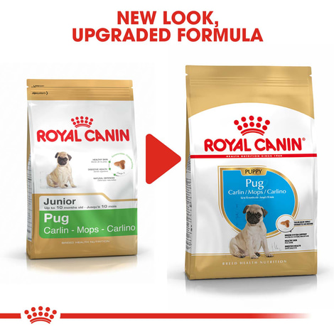 Royal Canin Pug Junior