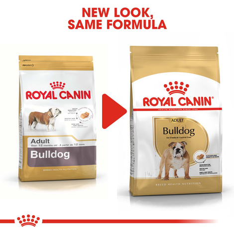ROYAL CANIN Bulldog Adult