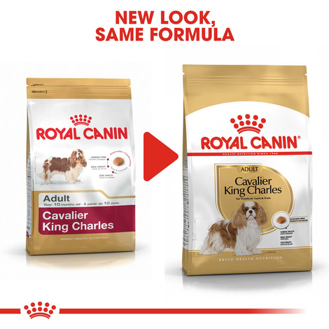 ROYAL CANIN Cavalier King Charles Adult