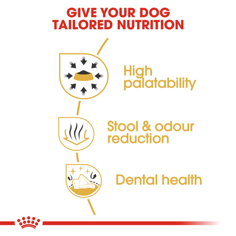 ROYAL CANIN Chihuahua Adult