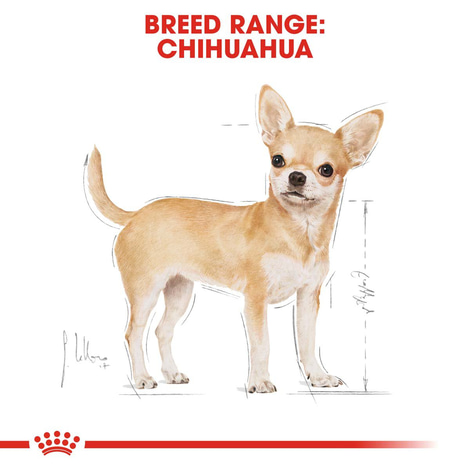 ROYAL CANIN Chihuahua Adult