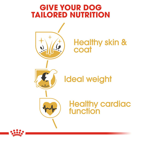 ROYAL CANIN Cocker Adult
