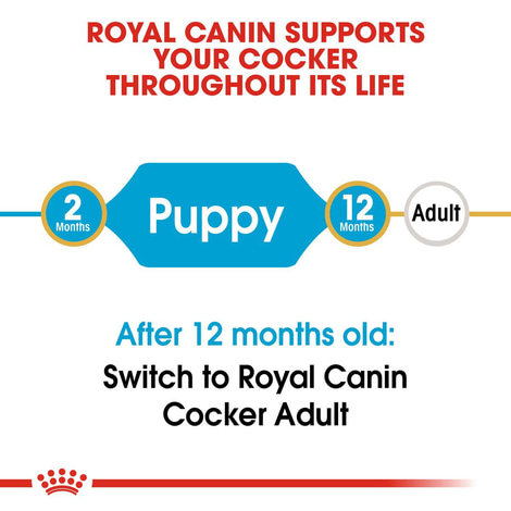 Royal Canin Cocker Junior