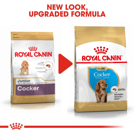 Royal Canin Cocker Junior
