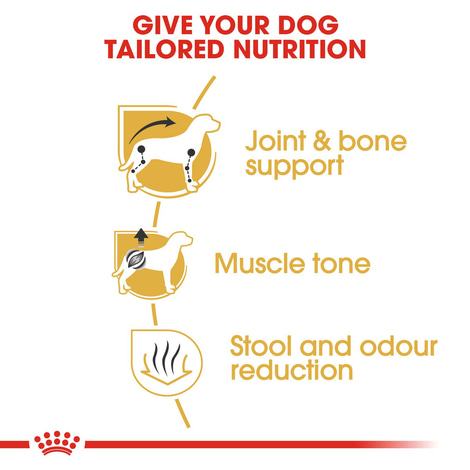 ROYAL CANIN Dachshund Adult