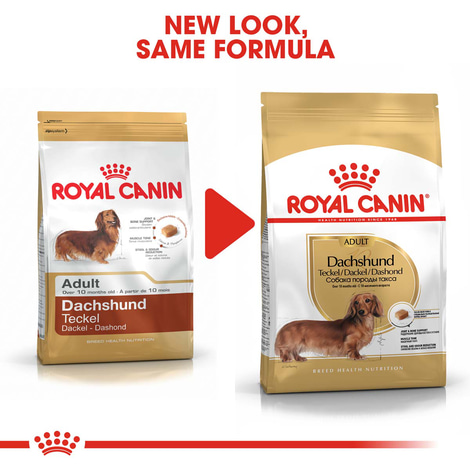 ROYAL CANIN Dachshund Adult