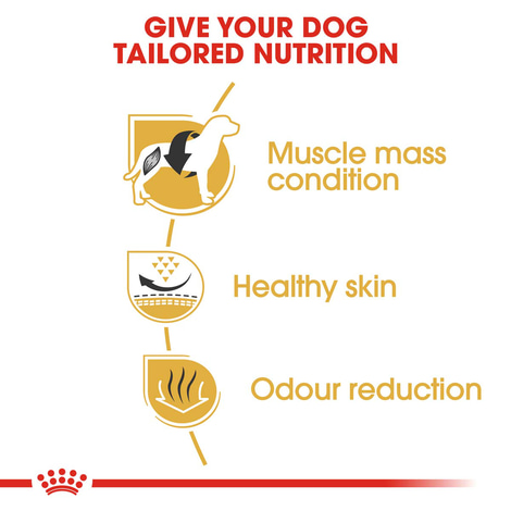 ROYAL CANIN French Bulldog Adult