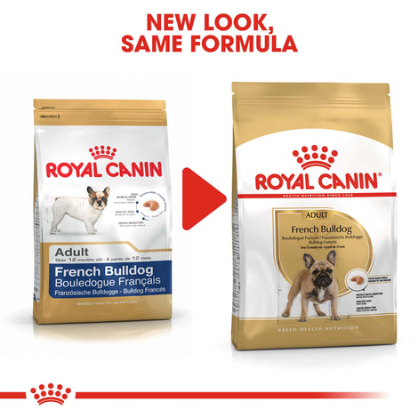 ROYAL CANIN French Bulldog Adult