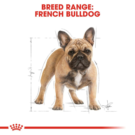 ROYAL CANIN French Bulldog Adult