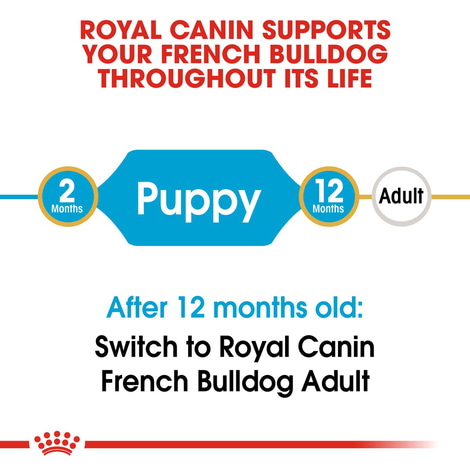 ROYAL CANIN French Bulldog Puppy suché krmivo pro štěňata francouzského buldočka