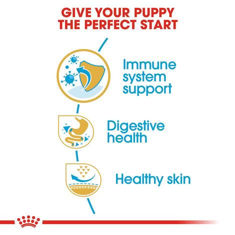 ROYAL CANIN French Bulldog Puppy suché krmivo pro štěňata francouzského buldočka