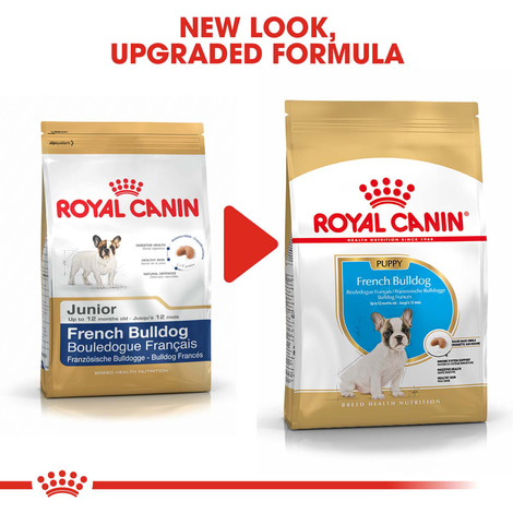 ROYAL CANIN French Bulldog Puppy suché krmivo pro štěňata francouzského buldočka