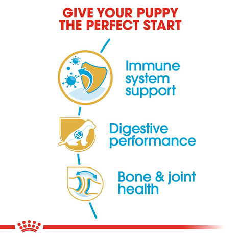 Royal Canin German Shepherd Junior