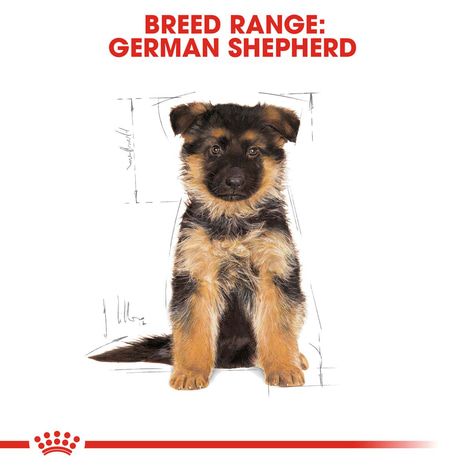 Royal Canin German Shepherd Junior