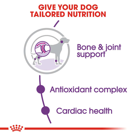 ROYAL CANIN GIANT Adult