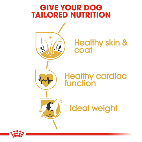 Royal Canin Labrador Retriever Adult