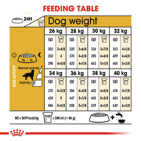 Royal Canin Labrador Retriever Adult