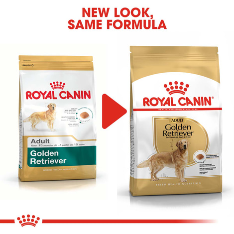 Royal Canin Labrador Retriever Adult