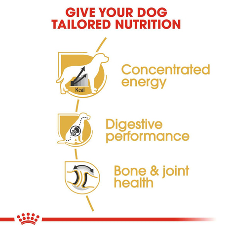 ROYAL CANIN Great Dane Adult