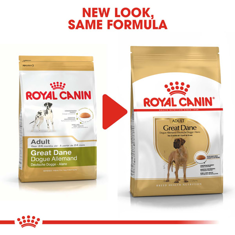 ROYAL CANIN Great Dane Adult
