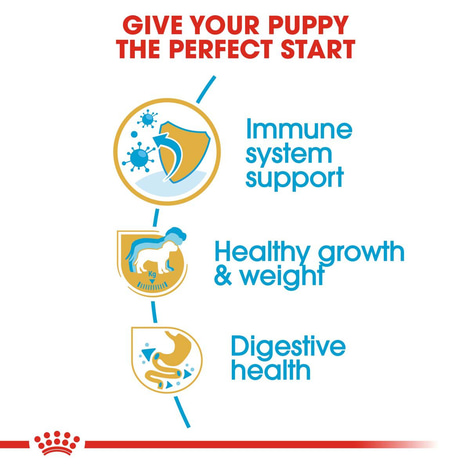 ROYAL CANIN Labrador Retriever Puppy granule pro štěňata