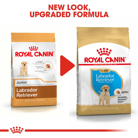 ROYAL CANIN Labrador Retriever Puppy granule pro štěňata