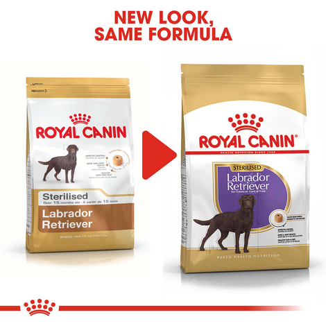 ROYAL CANIN Labrador Retriever Adult Sterilised