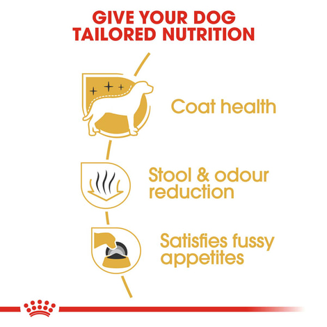 ROYAL CANIN Maltese Adult