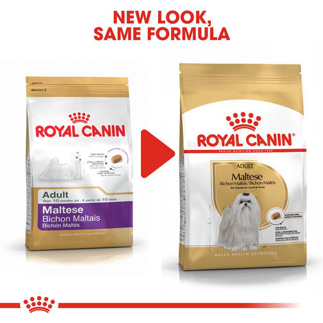 ROYAL CANIN Maltese Adult