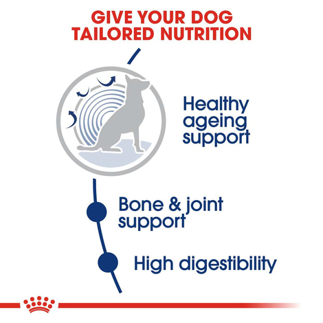 ROYAL CANIN MAXI Ageing 8+
