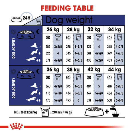 ROYAL CANIN MAXI Ageing 8+