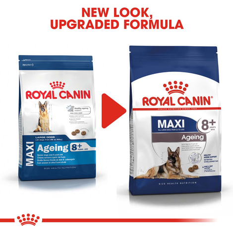 ROYAL CANIN MAXI Ageing 8+