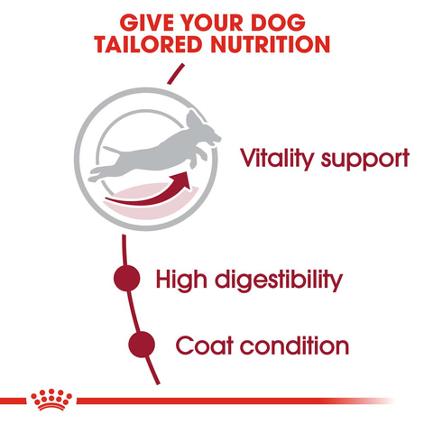 ROYAL CANIN MEDIUM Adult 7+