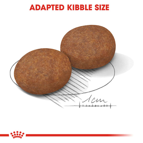ROYAL CANIN MEDIUM Adult 7+