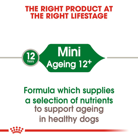 ROYAL CANIN MINI Ageing 12+