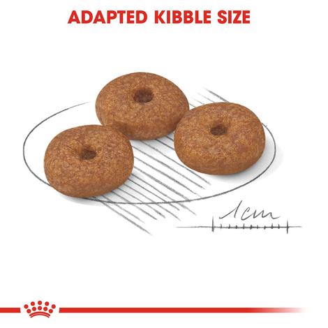 ROYAL CANIN MINI Ageing 12+